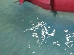 -南宫温泉水世界