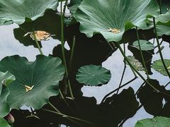 -南翠屏公园