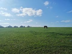 -呼和诺尔旅游景区