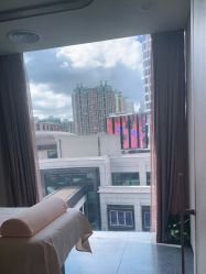 -思妍丽
