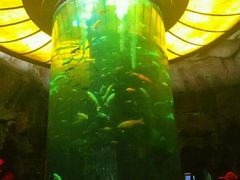 -泗洪洪泽湖湿地景区
