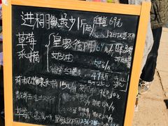 -大自然农场蔬菜草莓采摘园