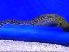 -海合安青岛极地海洋公园