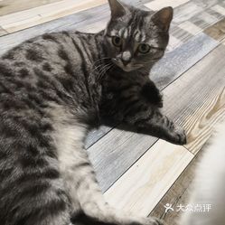 oOvkOa0flsSk3zFMGAWWOrYvgb1md7b_05c2D6zZOg8EMU9f48PuD9VxLLDAjdoUuzFvxlbkWx5uwqY2qcjixFEuLYk00OmSS1IdNpm8K8sG4JN9RIm2mTKcbLtc2o2vfCF2ubeXzk49OsGrXt_KYDCngOyCwZK-s3fqawWswzk.jpg