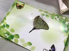 -上海昆虫博物馆