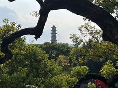 -江心屿景区
