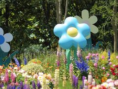 -上海共青森林公园