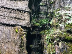 -梭布垭石林景区