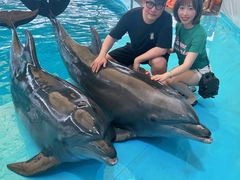 -尼莫海豚馆