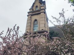 -成都南湖公园