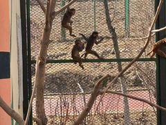 -水上乐园·欢乐世界