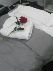 -La Rose·轻奢皮肤管理