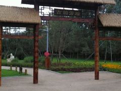 android_upload_pic-长春公园(普阳街道)