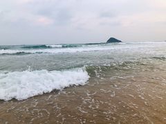 -西涌国际滨海旅游区