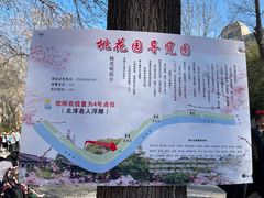 -桃花堤公园