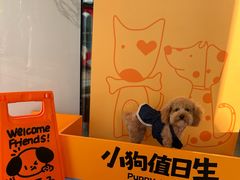 -开元商城(西旺店)