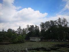 -四川大学(望江校区)