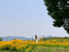 -良渚古城遗址公园