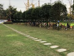 -洪湖家庭农场·团建·露营·会议