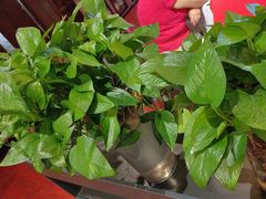 -宋园·金宴浙鲜馆(静安店)