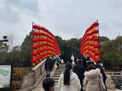 -水绘园