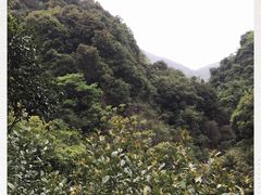 -银瓶嘴森林公园