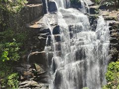-海南热带雨林国家公园吊罗山景区