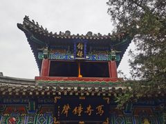-洛阳白马寺