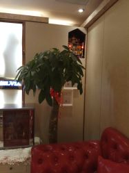 点击看大图 -茜尔维亚修身连锁(八佰伴店)