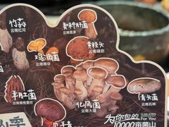 -芸山季·云南山珍菌火锅(南翔印象城MEGA店)