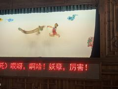 -乌镇东栅景区-应家桥皮影戏馆