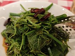 炝拌丝瓜尖-西贝(上海中心店)