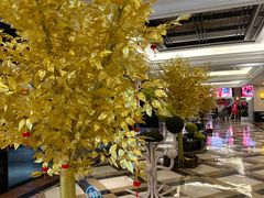-上海月星家居(澳门路店)