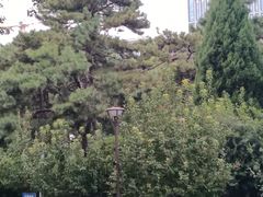 -元大都城垣遗址公园