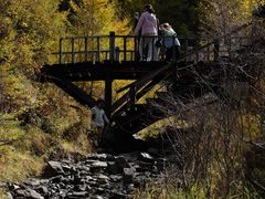 -苏木山森林公园