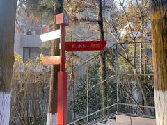 -云碧峰国家森林公园