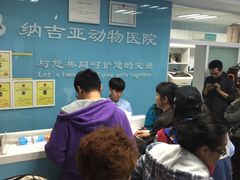 -纳吉亚猫专科动物诊疗中心(蒋宅口分院)