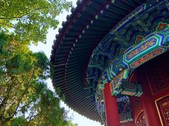 -中国铁道博物馆(正阳门馆)