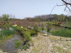 -昆山城市生态森林公园