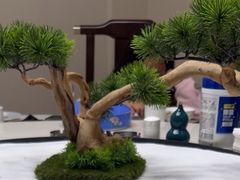 -南山酒肆(南山董事绘店)