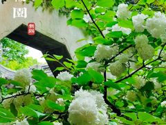 -惠山古镇·寄畅园