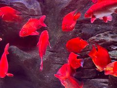 -成都浩海立方海洋公园