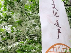 -元大都城垣遗址公园