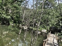 -大连天门山国家森林公园