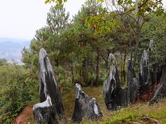 -玉石林风景区