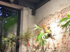 -邊渡咖啡