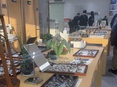 -Eziwish眼镜·蔡司授权店