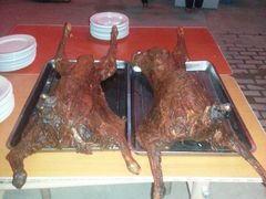 -塞罕坝国家级自然保护区