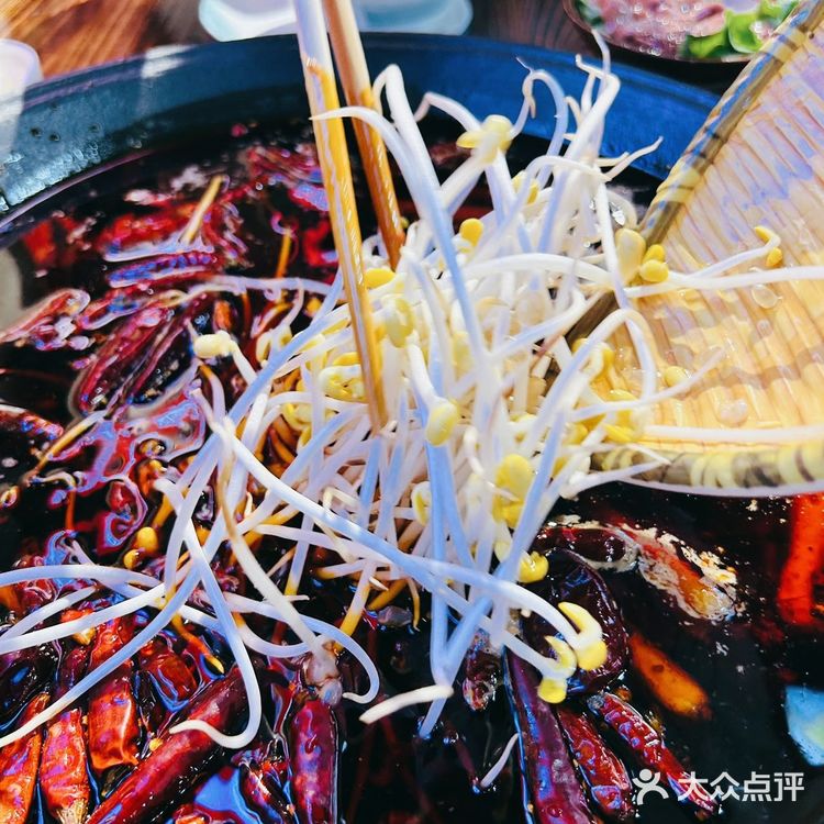 牛杂在锅里跳舞,美味在舌尖欢呼!