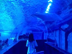 -成都浩海立方海洋公园